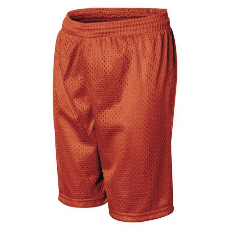 Burnt Orange Gym Shorts