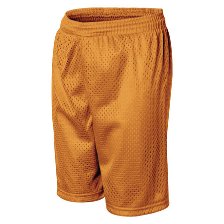 Gold Gym Shorts